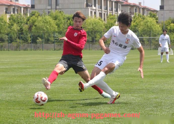 pg电子在线下载-世俱杯主办城市交通诱导系统建设成果与人流疏导能力提升分析