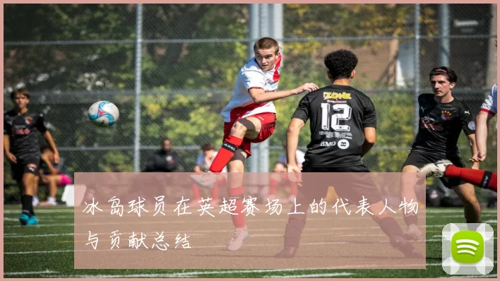 冰岛球员在英超赛场上的代表人物与贡献总结
