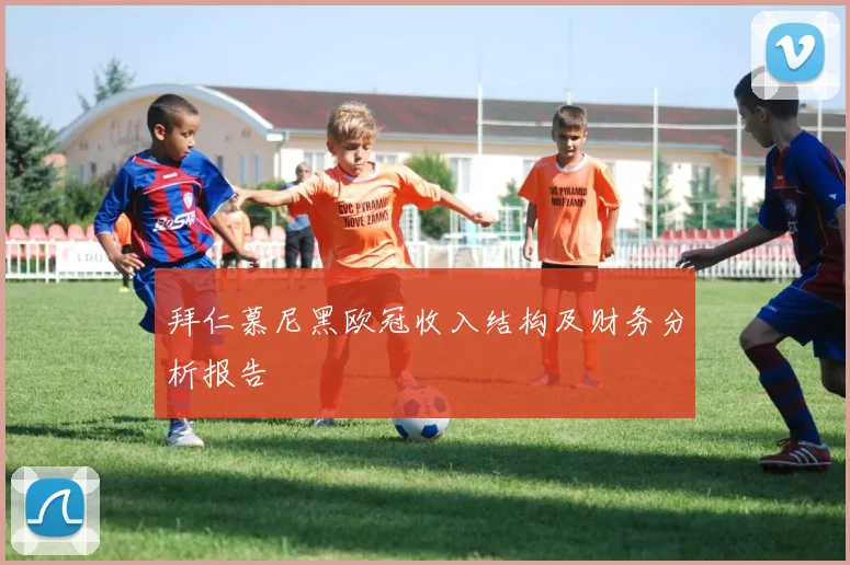 拜仁慕尼黑欧冠收入结构及财务分析报告
